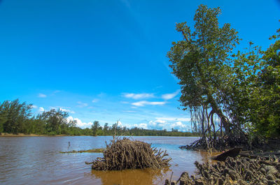 Scenic view of lake against blue sky