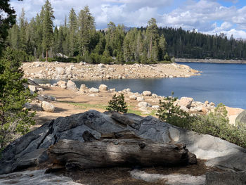 Scenic view of rocks in forest against sky