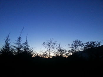 Low angle view of silhouette trees against clear sky