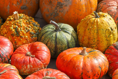 High angle view of pumpkins for sale at market