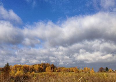 Scenic view of field against sky