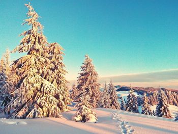 Snow covered landscape against clear blue sky