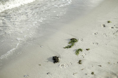 High angle view of beach