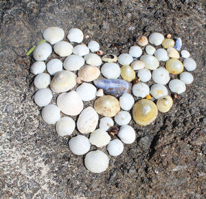 Close-up of pebbles