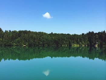 Reflection of trees in calm lake