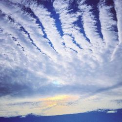 Bird flying over cloudy sky