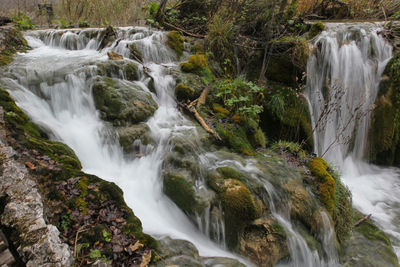 Scenic view of waterfall in forest