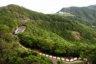 High angle view of trees