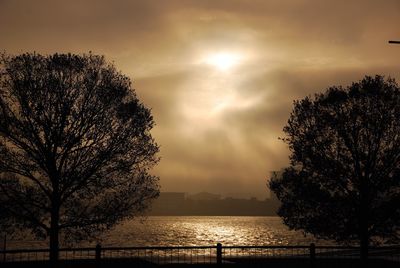 Silhouette tree by sea against sky during sunset
