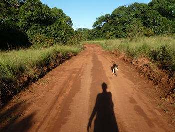 People walking on road