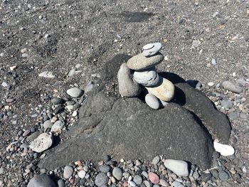 High angle view of shells on sand