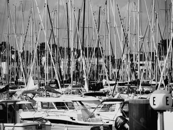 Sailboats moored at harbor