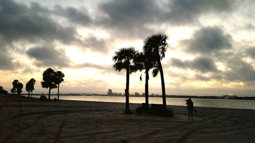 Palm trees on beach against cloudy sky