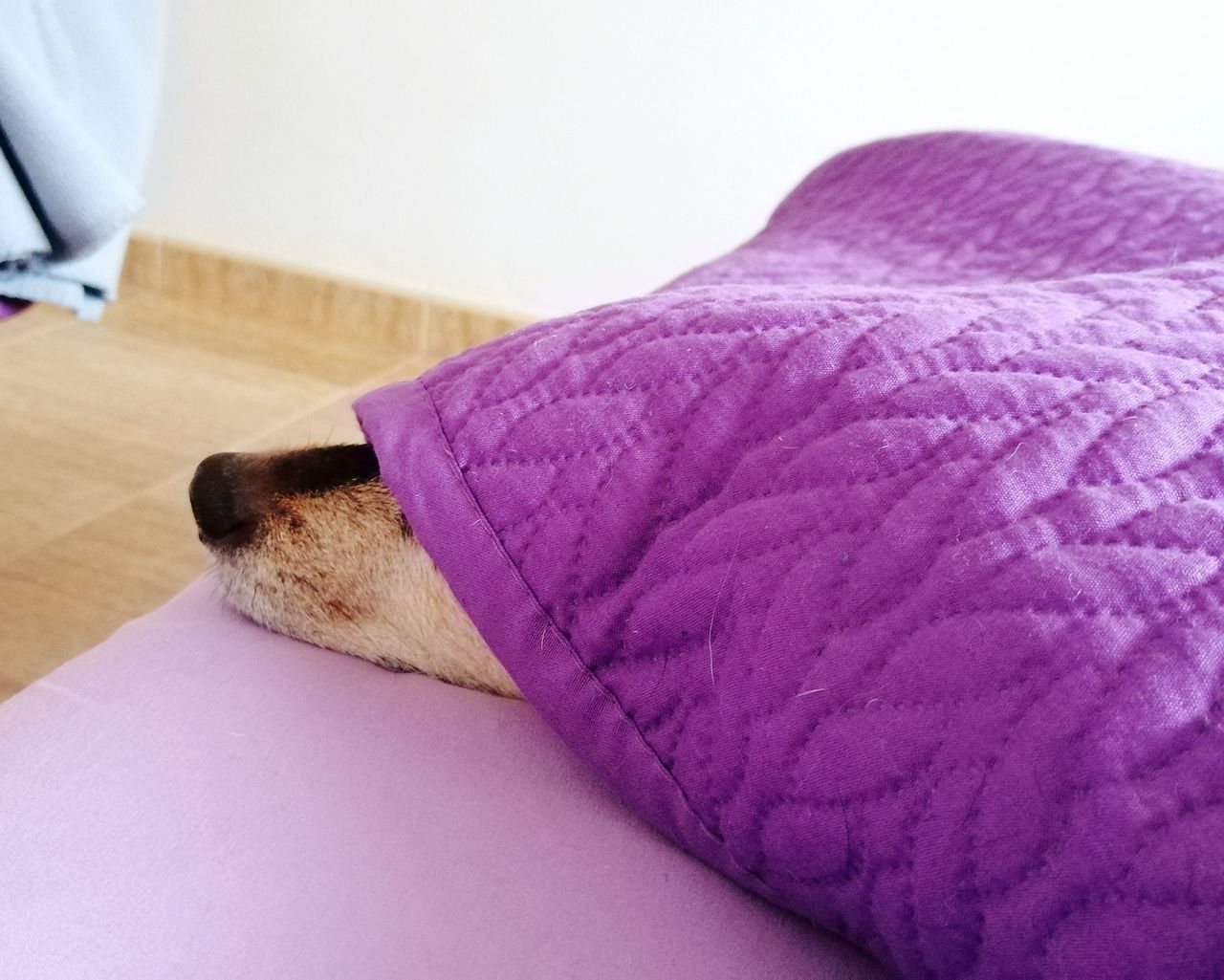 CLOSE-UP OF MAN SLEEPING ON BED