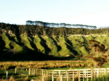 Scenic view of rural landscape