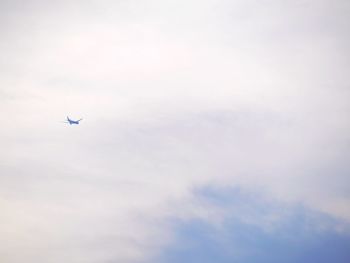 Low angle view of airplane flying in sky