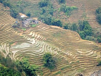 Scenic view of landscape