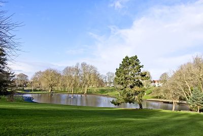 Scenic view of park by lake against sky