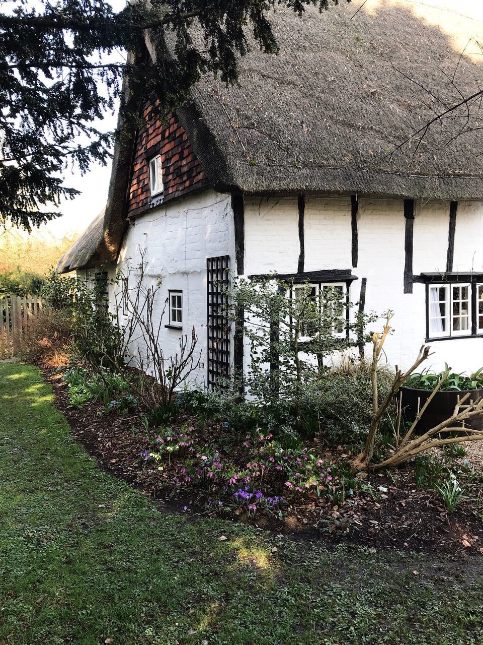 HOUSE AND PLANTS GROWING ON BUILDING