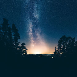 Silhouette trees on field against star field at night