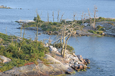 Scenic view of sea shore