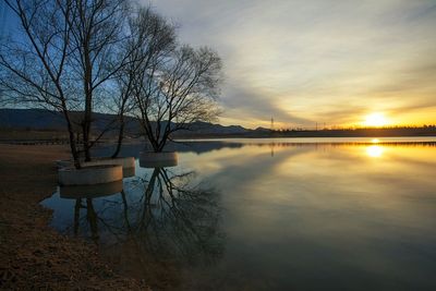 Bare trees on lakeshore against cloudy sky