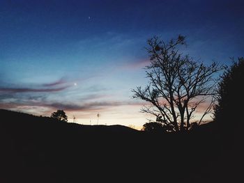 Silhouette of trees at sunset