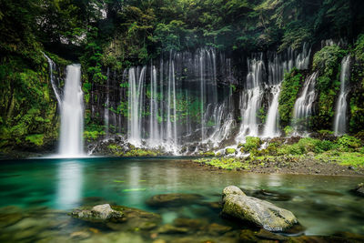 Scenic view of waterfall in forest