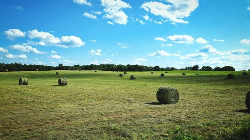 Hay bales on field against blue sky