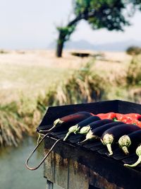 Close-up of meat on barbecue grill