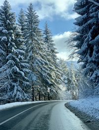 Road amidst trees against sky during winter