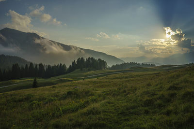 Scenic view of grassy field against sky