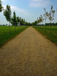 Dirt road amidst field against sky