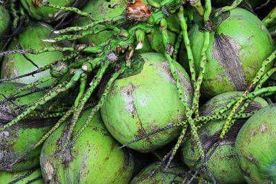 Full frame shot of fruits for sale in market