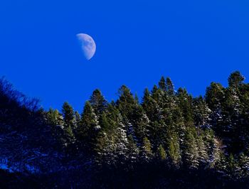 Low angle view of moon in sky