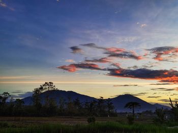 Scenic view of field against sky during sunset