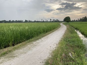 Empty road along countryside rice field landscape