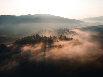 Scenic view of forest during sunrise against sky