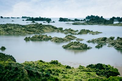 Scenic view of lake against sky