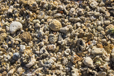 High angle view of stones on beach