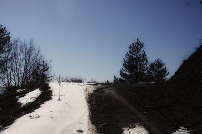 Road amidst trees against clear sky during winter