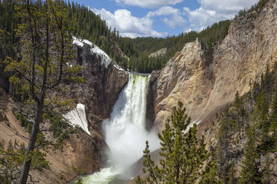 Panoramic view of waterfall in forest