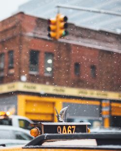 Bird sculpture on taxi roof during snowfall in city