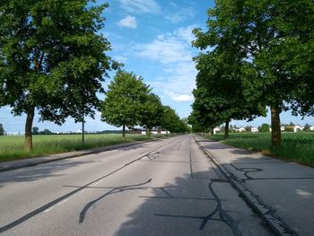 Empty road along trees and plants in village 