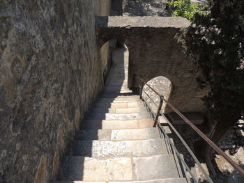 Steps amidst trees