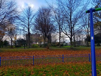 Bare trees on field against sky