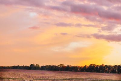 Scenic view of field against sky during sunset