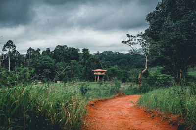 Trees and plants growing on land against sky