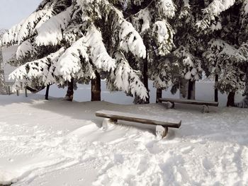 Snow on field against sky during winter