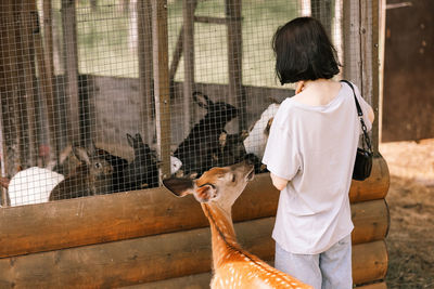 A girl feeds spotted deer and rabbits on the farm